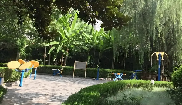 嚣张天使硬朗汉
